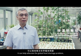 「中大创新．改变世界」—林汉明教授 大豆基因组研究  